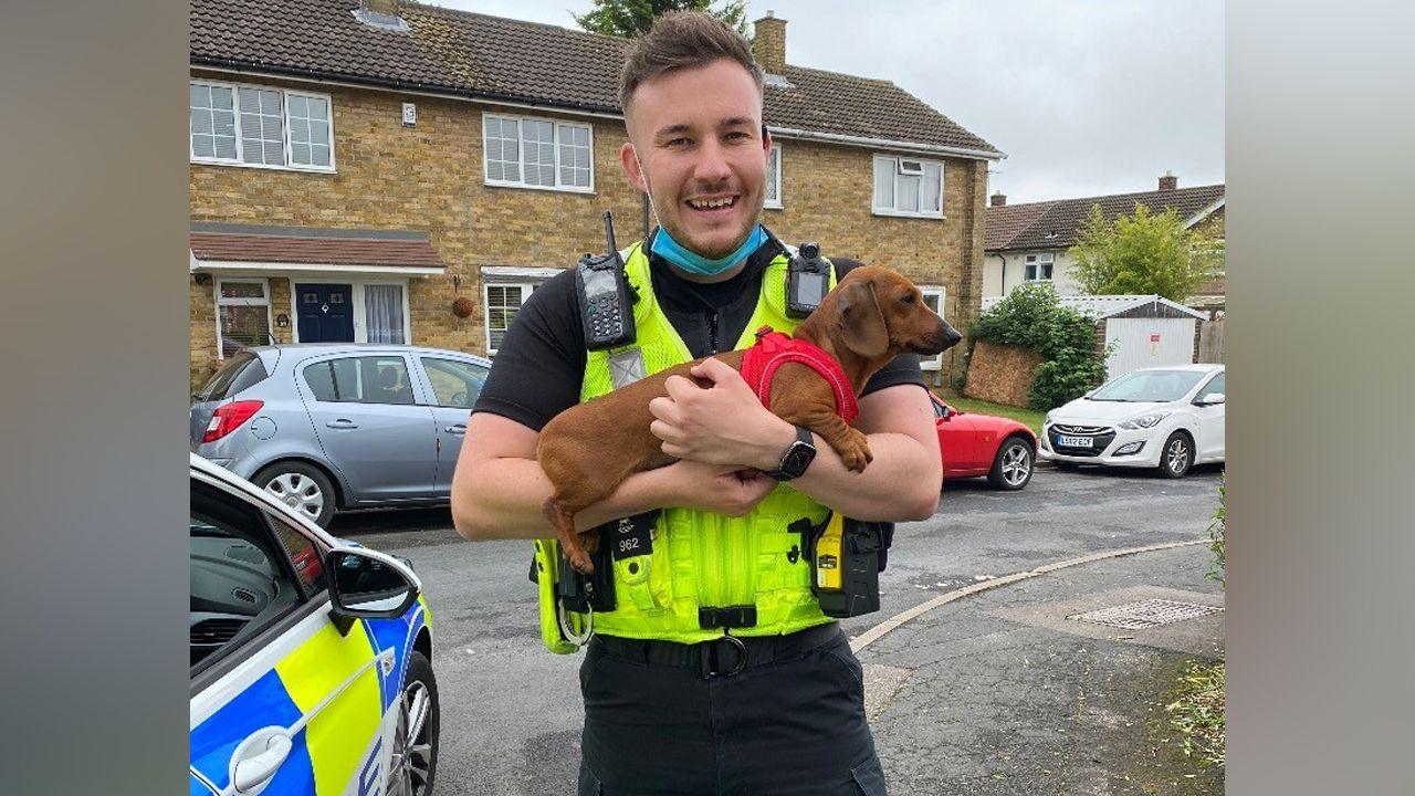 A police officer, young, is wearing a uniform and holding a puppy next to a police car on a residential street