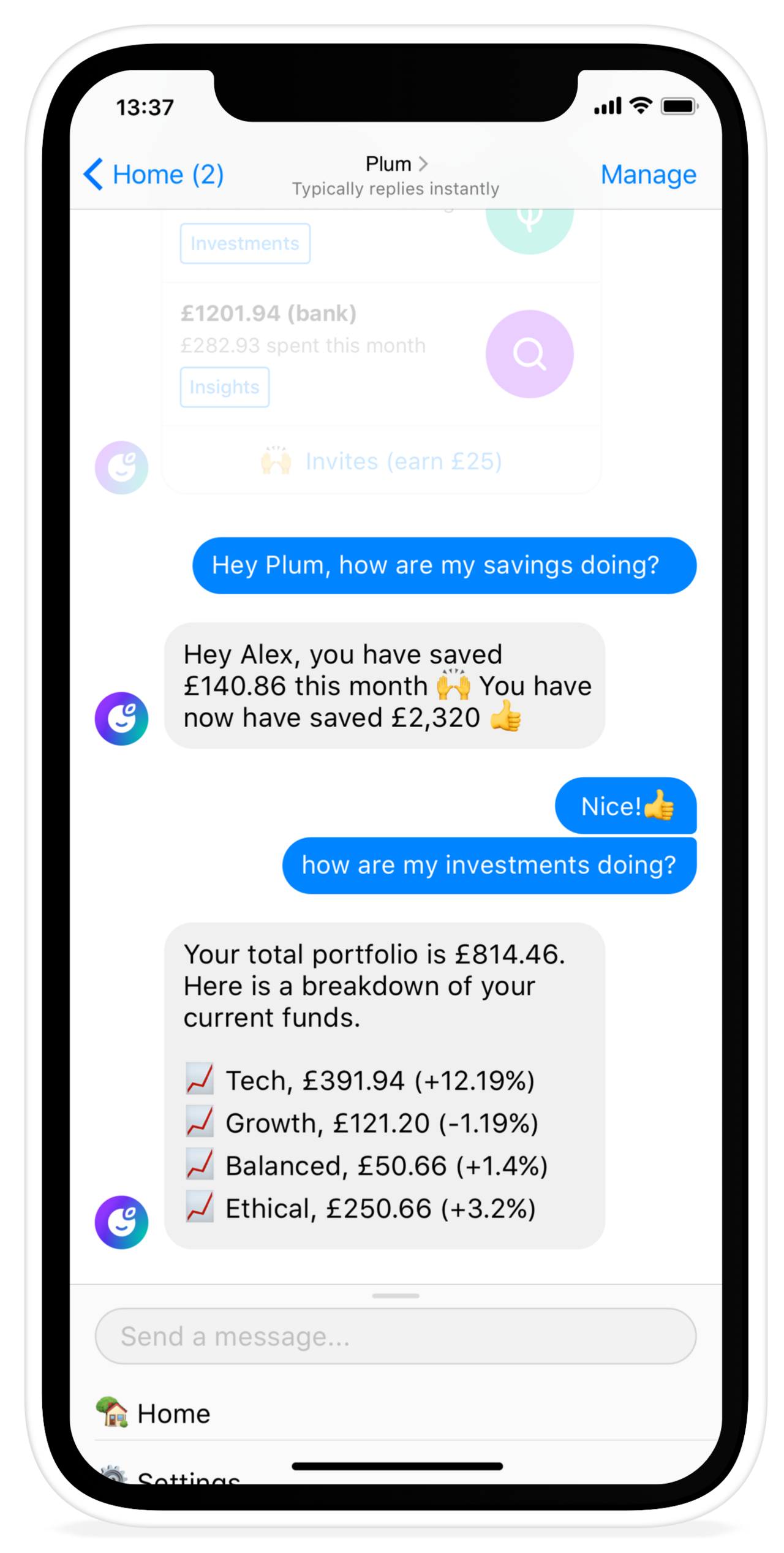 A user messaging chatbot plum