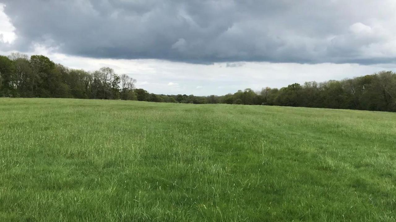 A grassy area which forms part of the site at Turnden, near Cranbrook in the Weald of Kent, on which 165 homes will now be built by developer Berkeley Homes.