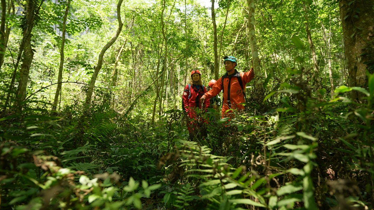 Three people wearing orange jumpsuits at the bottom of the sinkhole, in a fern forest surrounded by skinny trees