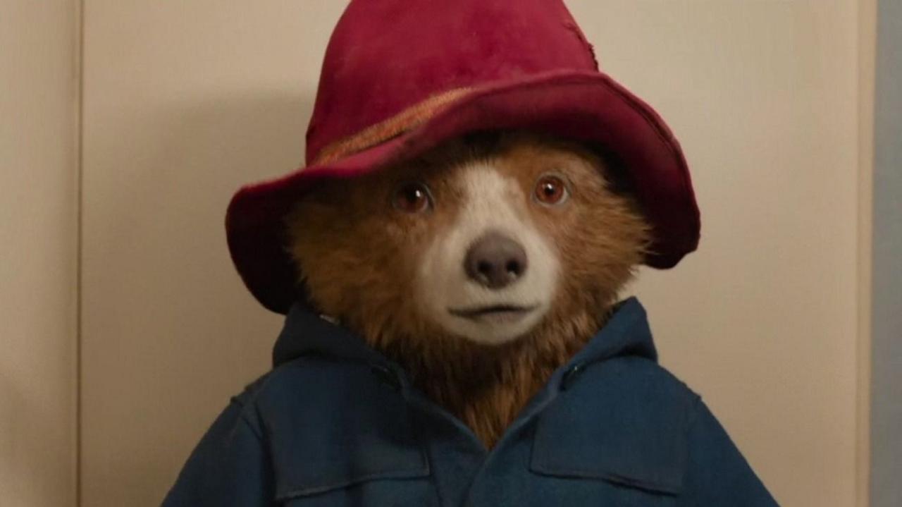 Paddington Bear