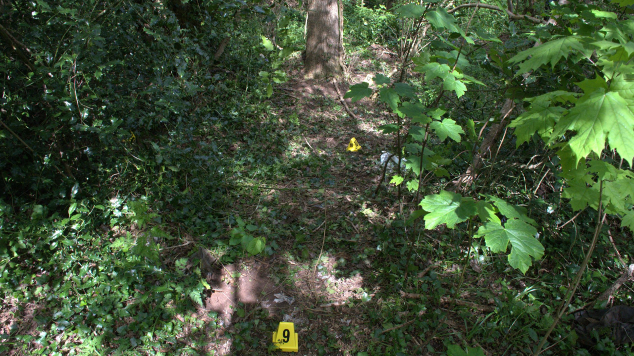A muddy path in a leafy woodland with small, numbered yellow markers laid by forensics