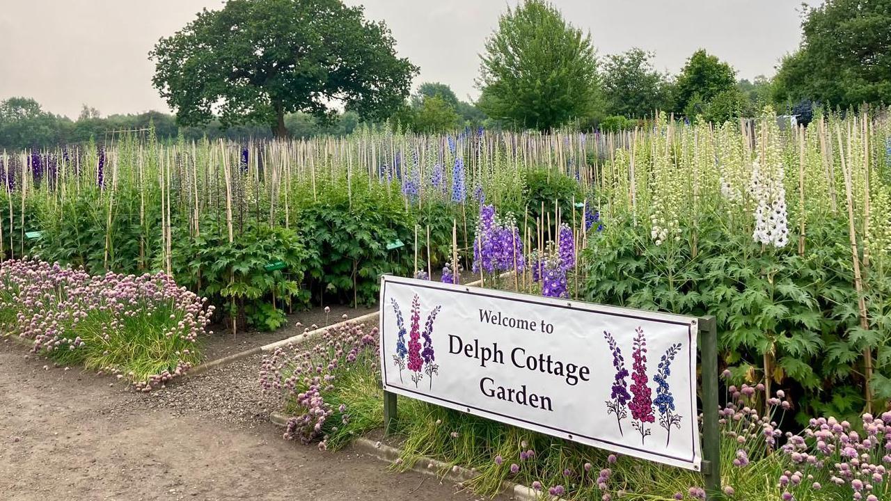 A white banner that reads "Welcome to Delph Cottage Garden" sits in front of a row of flower beds filled with Delphiniums.