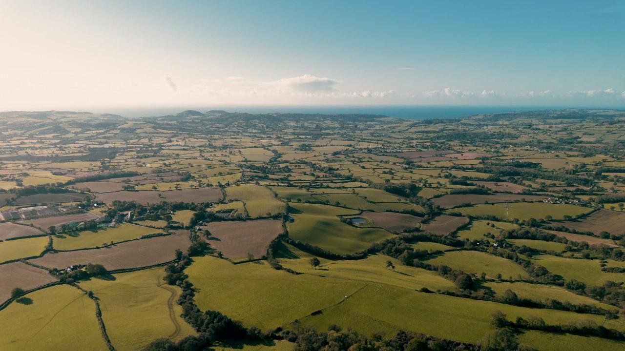 Aerial view of the Dorset landscape with a patchwork of irregular shaped fields and the sea in the distance