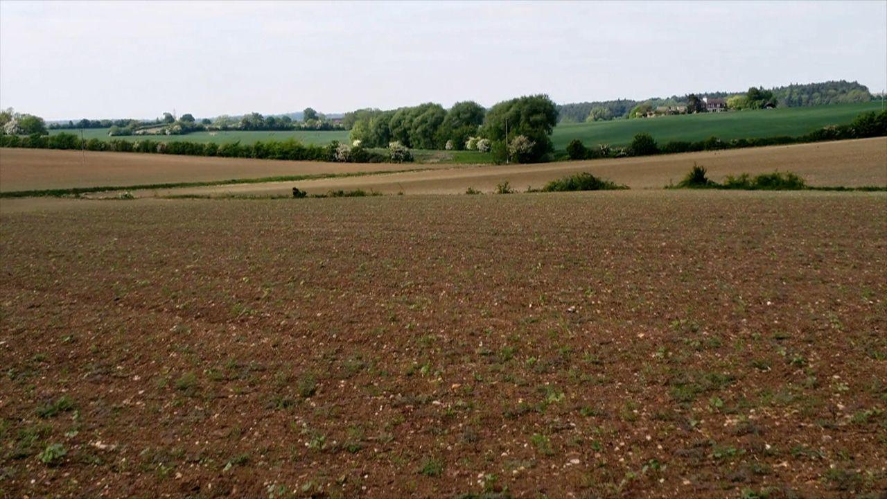 Empty fields with trees in the background