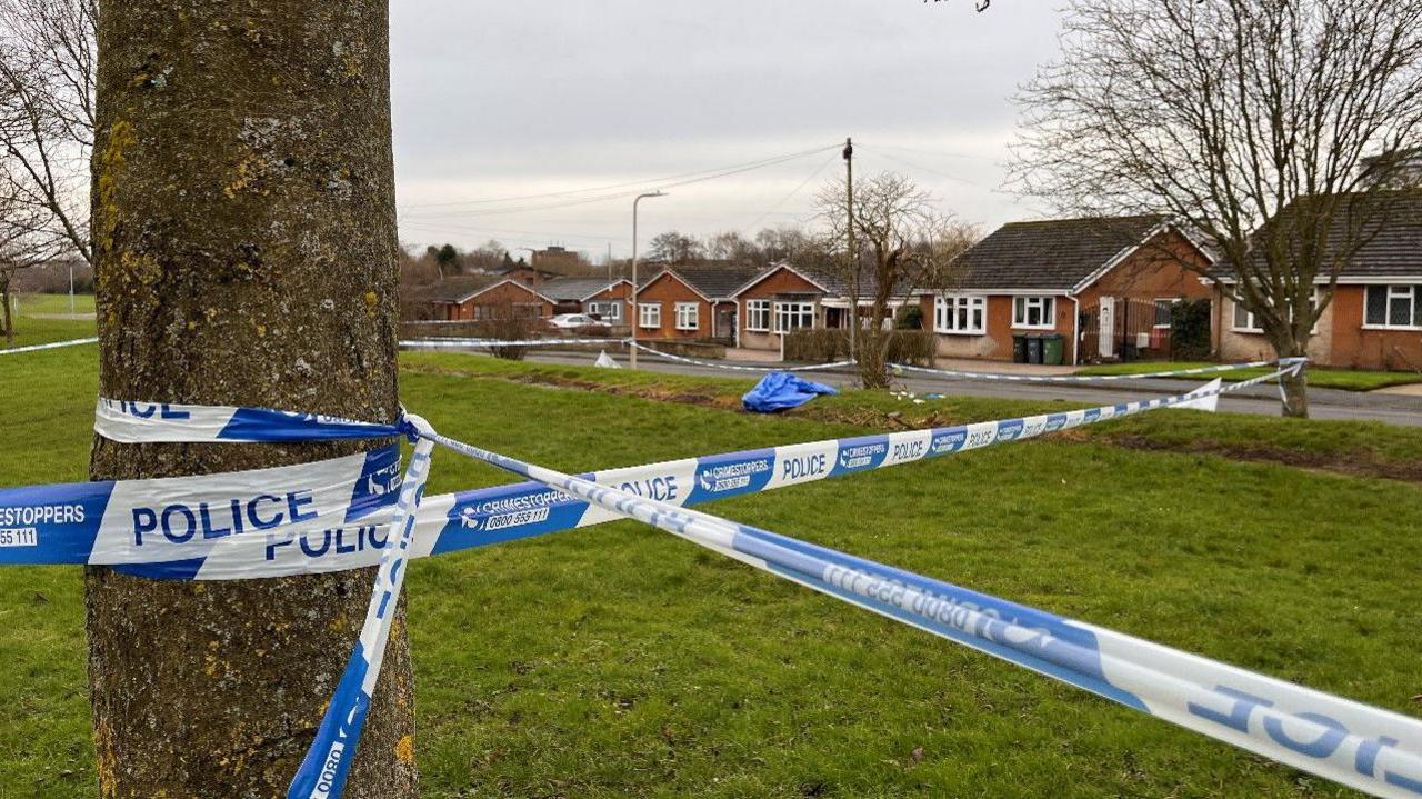 Police tape is tied around a tree near the camera. A section of grass is within the cordon and houses are in the background of the photo.