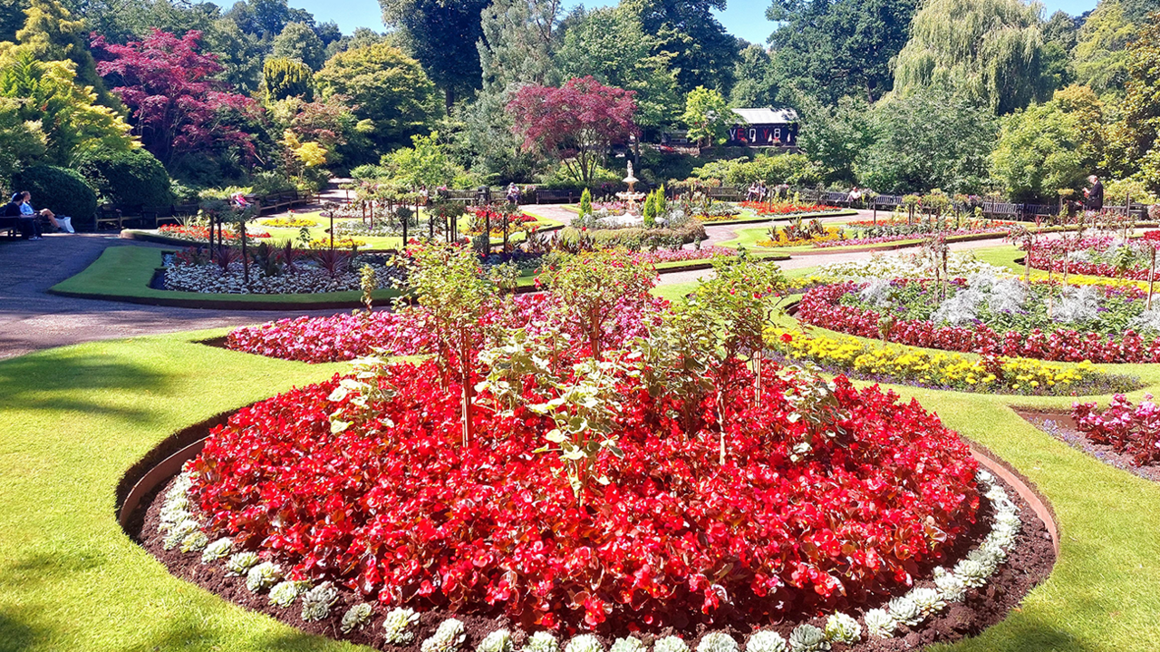 Smartly manicured flower beds in the Dingle garden in Shrewsbury. In the foreground is a large, circular  bed of red flowers with white or pale green plans around the edge and taller ones in the centre. Other flower beds stretch to hte right and straight ahead towards trees featuring mixed shades of greens, reds and browns. There are benches on a path to the left