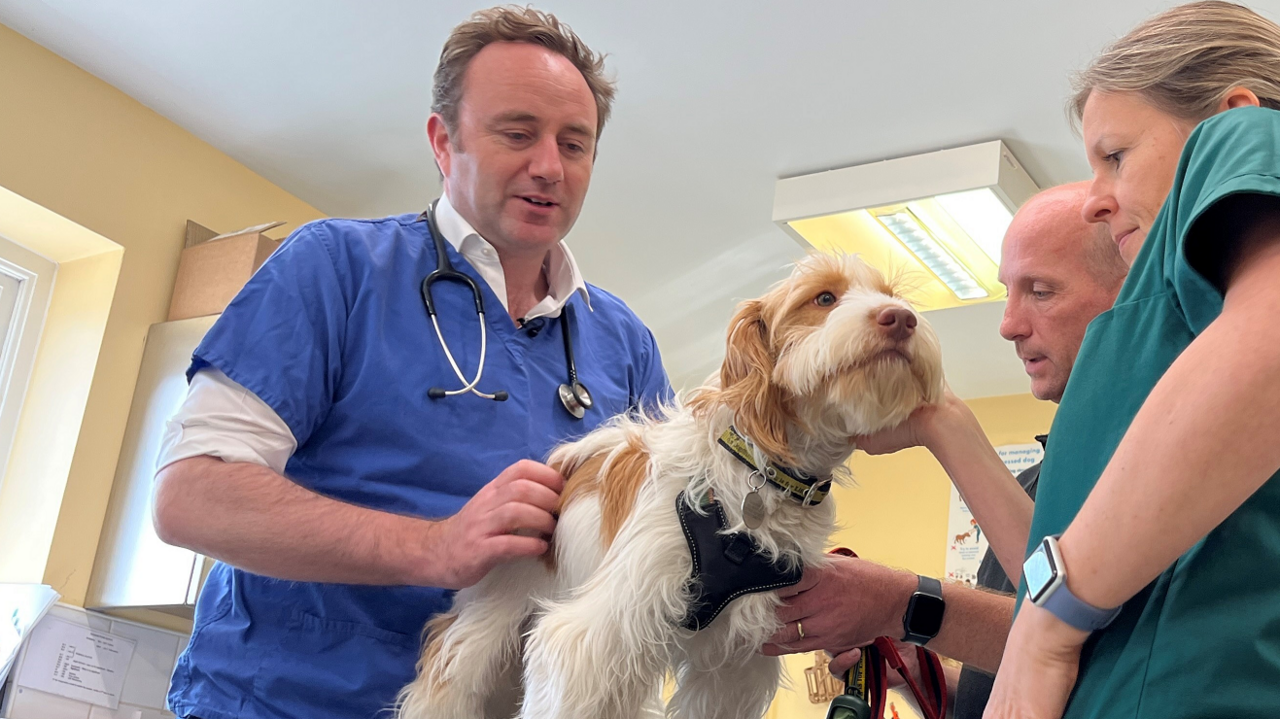 Danny Chambers, wearing a blue vet's shirt and a stethoscope around his neck, checking over a brown and white dog, which is sat on a table, with his owner, a man, and a nurse stood next to them.