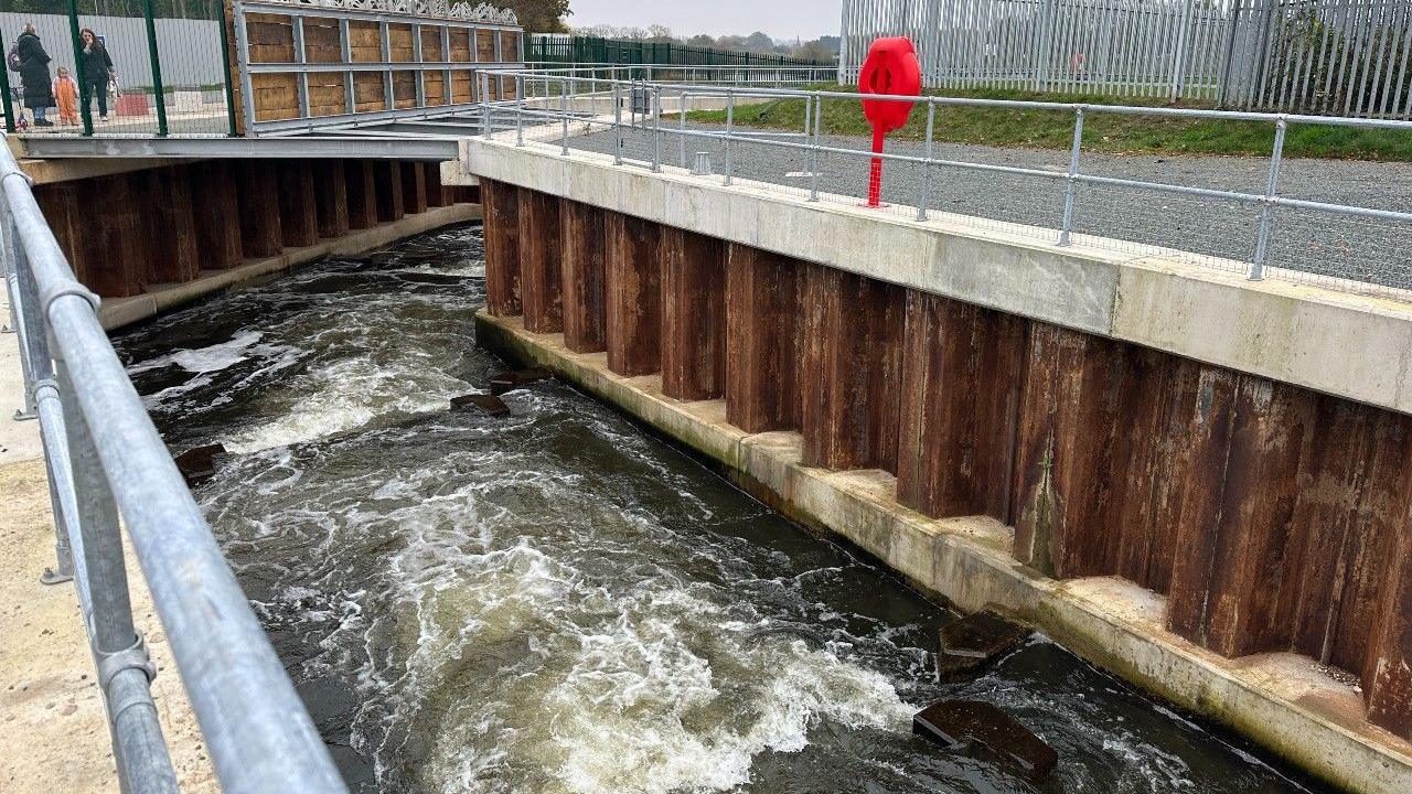 The fish pass channel with the concrete gates submerged in flowing water and a walkway above