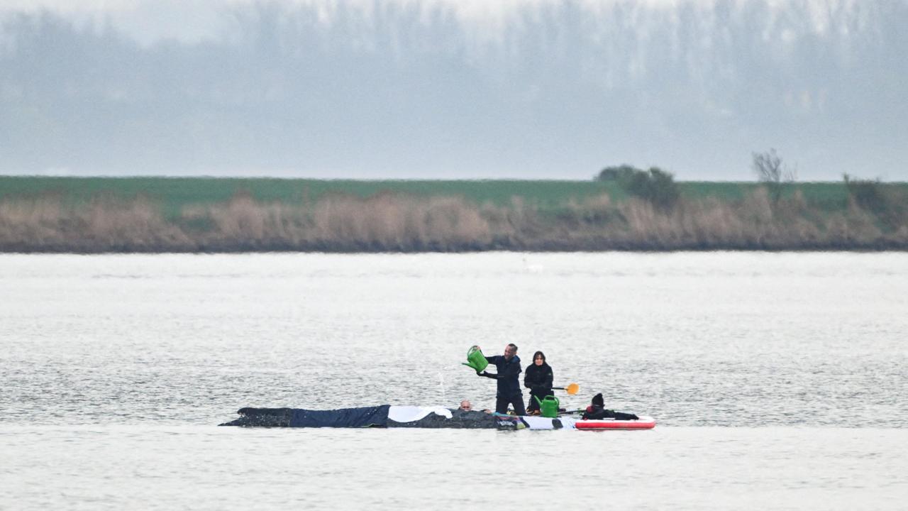 Humpback whale 'Timmy' released into North Sea after privately funded barge rescue — image 5