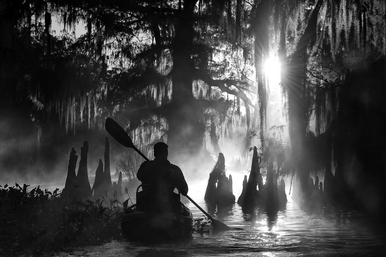 Kayaking - Atchafalaya Basin, Louisiana, USA