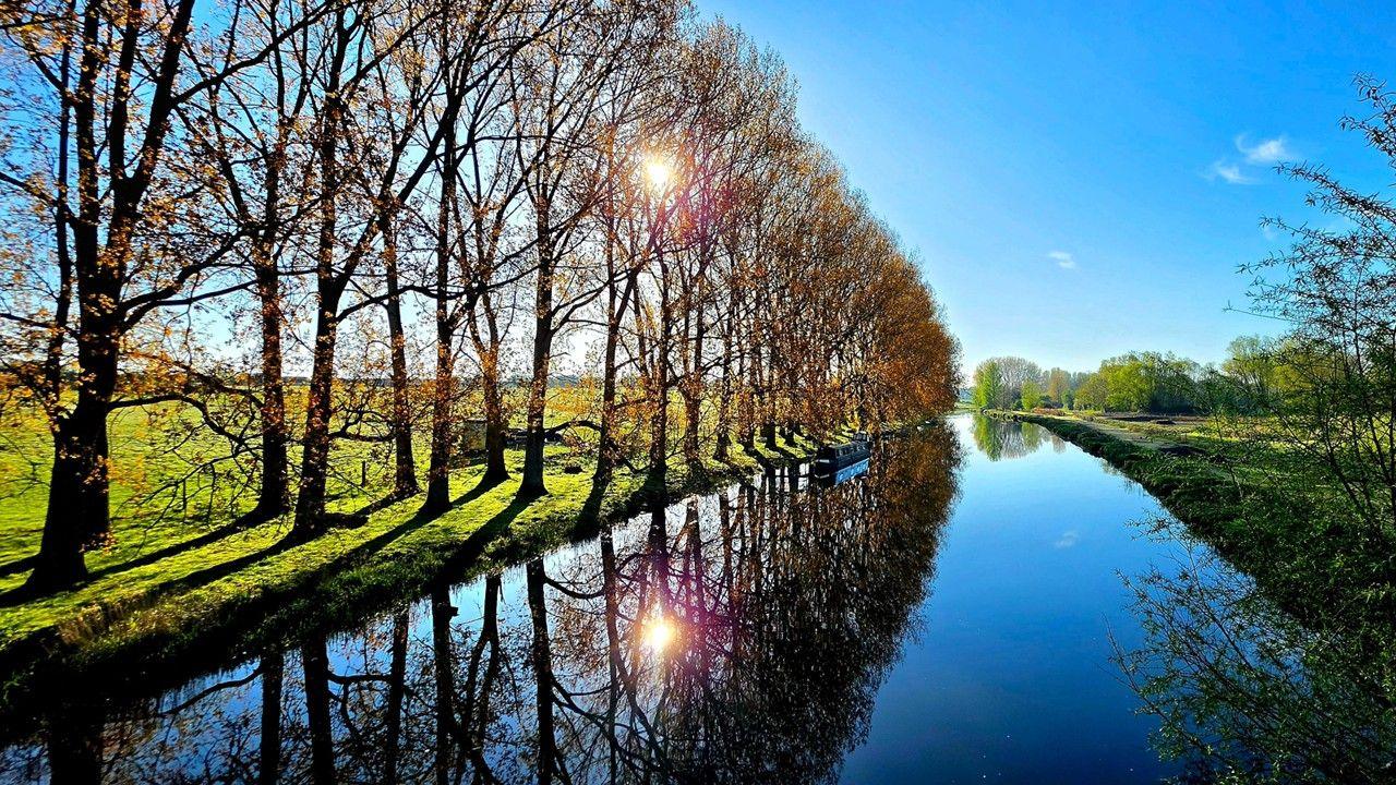 The sun rises in the sky shining through a row of trees edging a river, with blue sky and fields on the right hand side. 