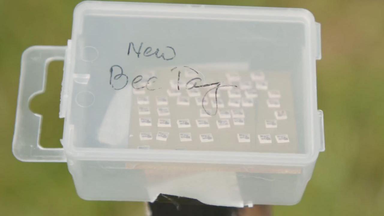 A transparent container with tiny white tags. It's been labelled NEW BEE TAGS. 