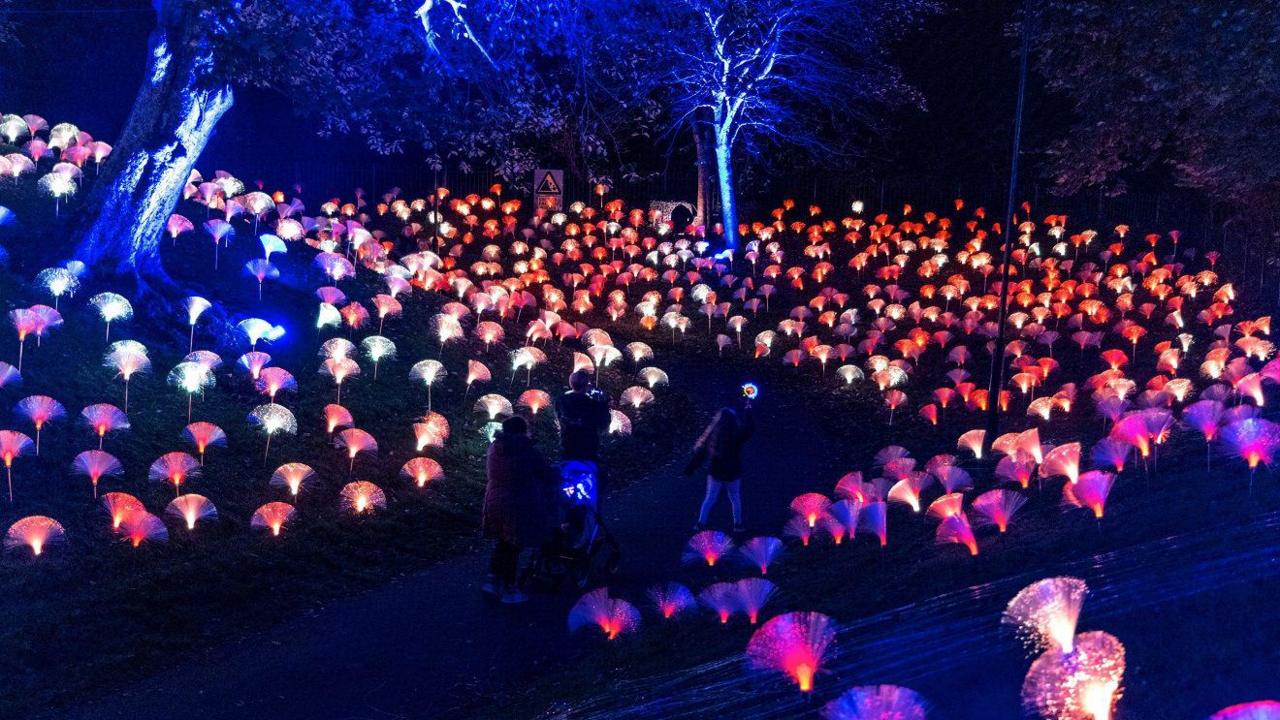 A family walk through an attraction at Sunderland's Festival of Light. Trees are lit blue while dozens of ground-level lights look like red and pink flowers.