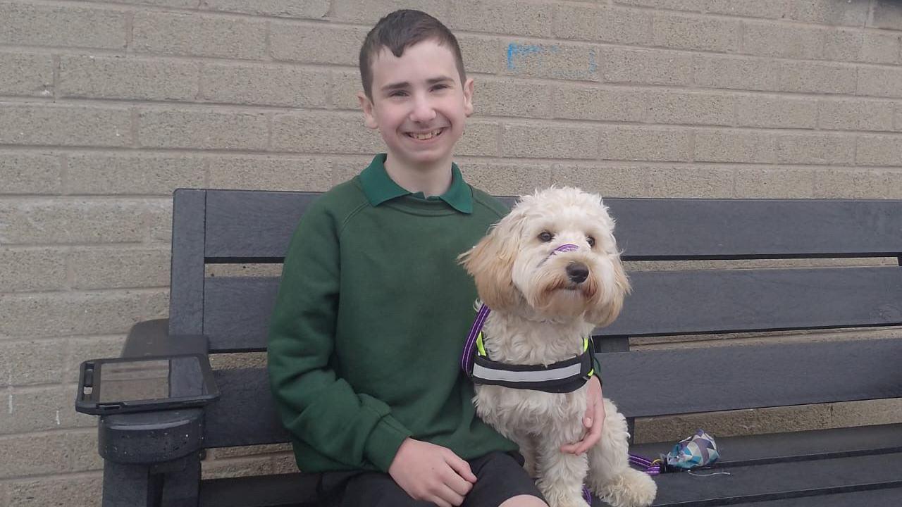 Colin is sitting on a black bench smiling with his arm round his dog. His dog is cream/white with a high viz collar on. Colin has short brown hair and is wearing a forest green jumper over a darker green polio shirt.