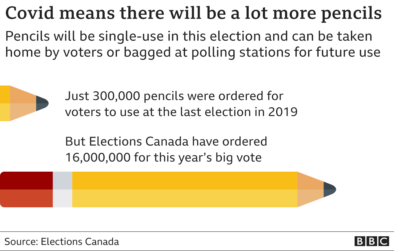 Graphic showing the number of golf pencils ordered to file out paper ballots this year