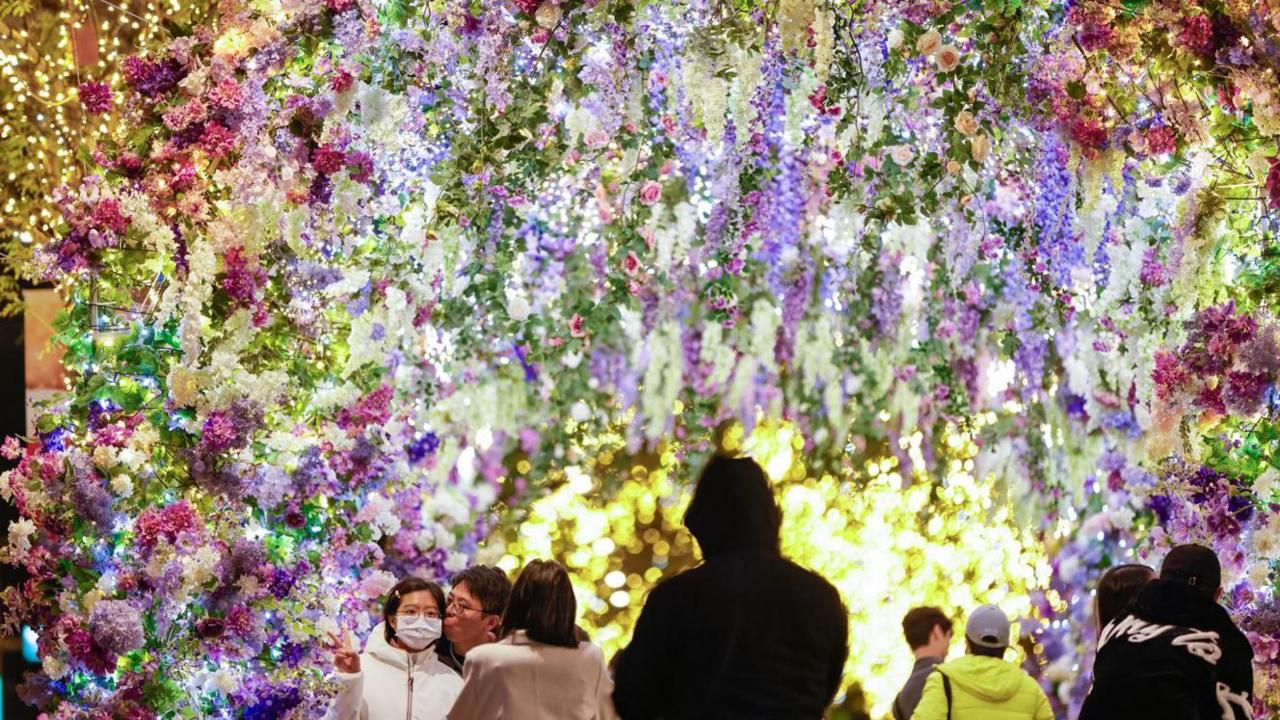 Colourful flowers and lights in Taiwan.