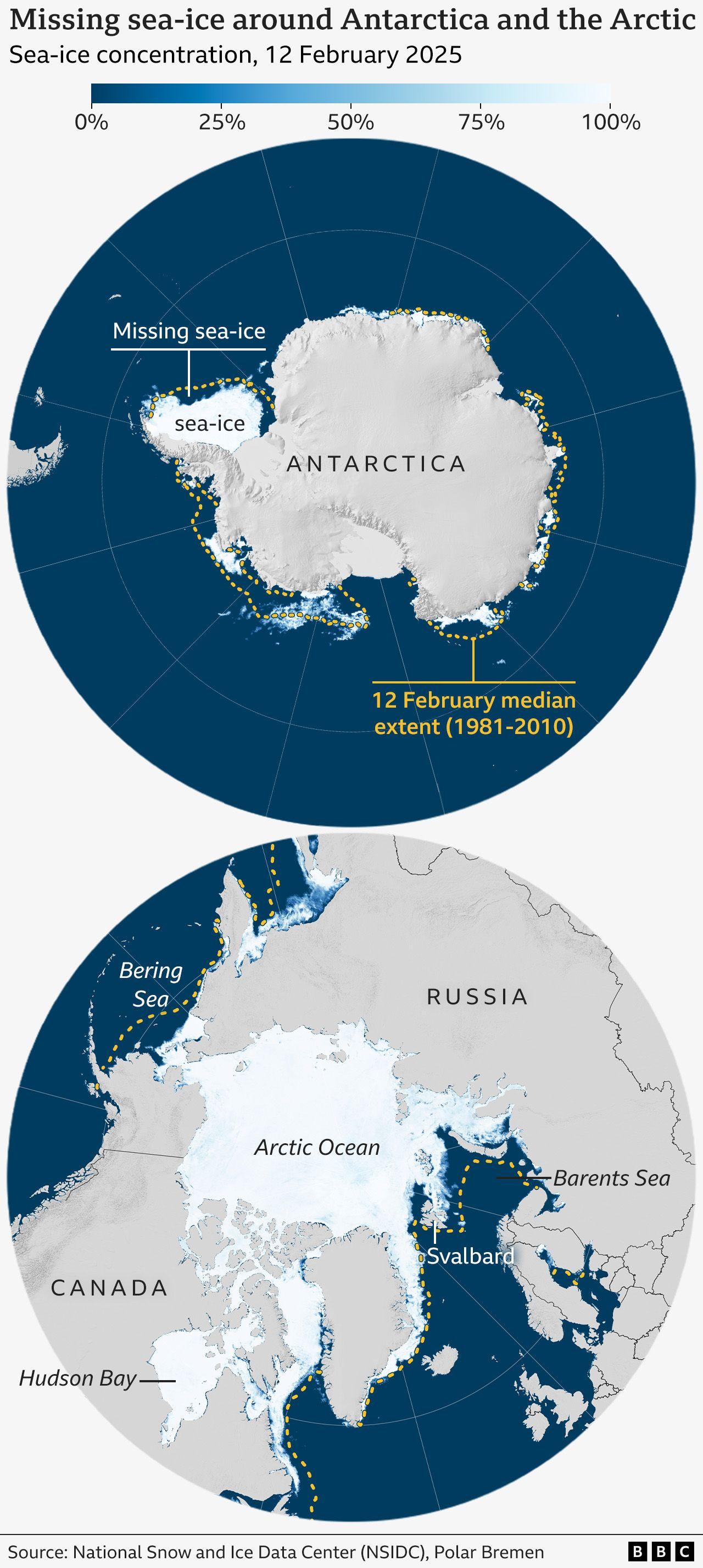 Two maps showing sea-ice concentration on 12 February 2025 for both Antarctica and the Arctic. For each map, the median extent for the 1981-2010 period is shown and areas of missing sea-ice are visible.