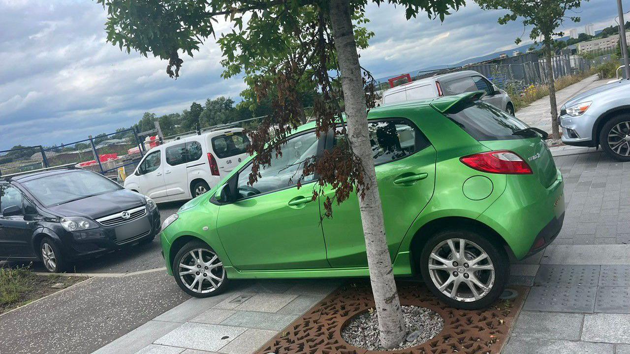 Car parked on pavement up against a tree