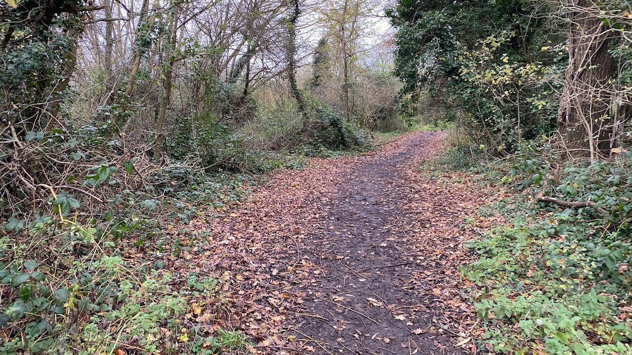 An unlit path straight to a woodland in Surrey