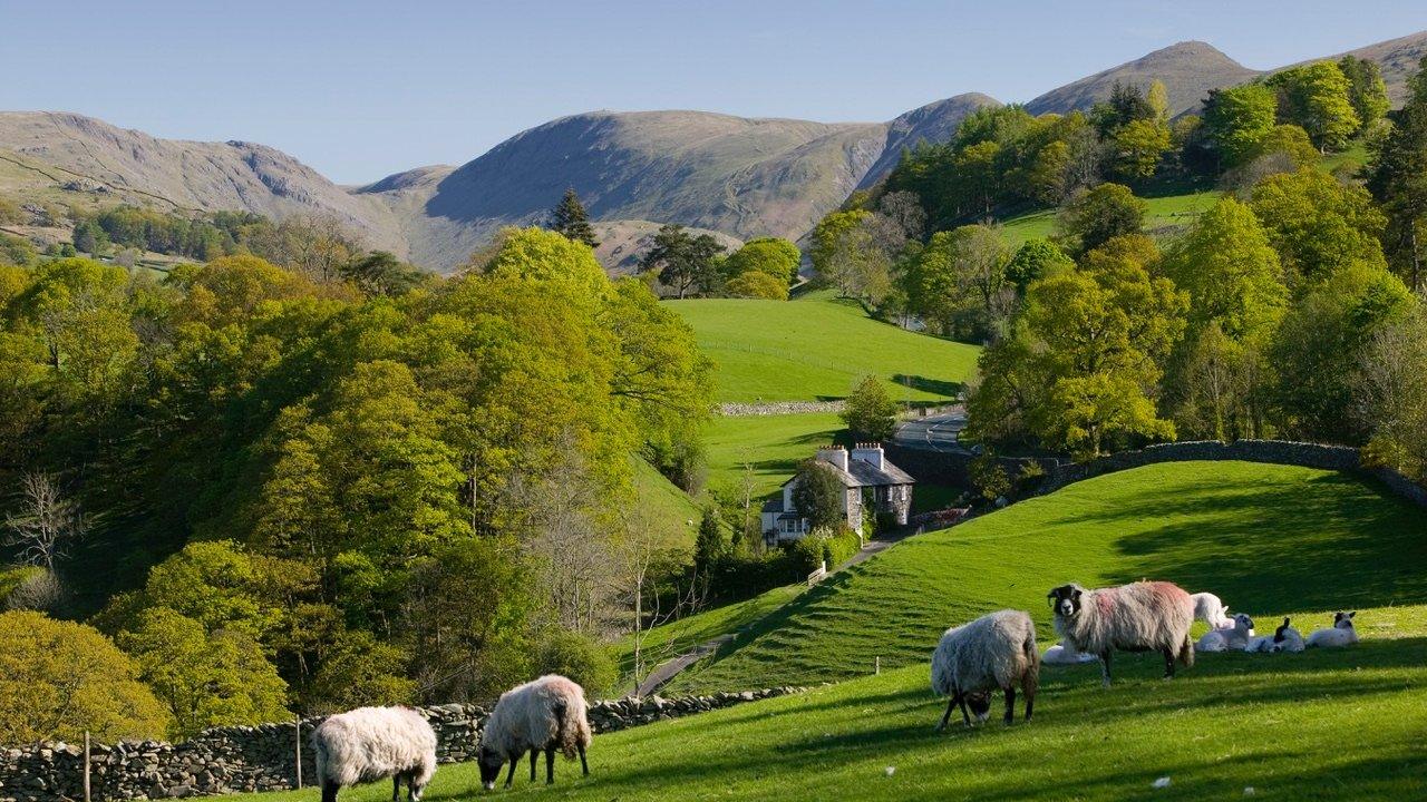 Cumbria