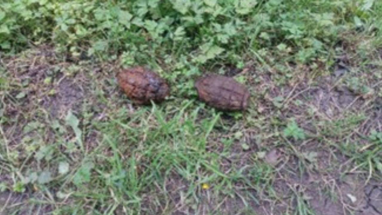 A low quality image of the grenades. We can see some grass and the rustry grenades in the middle. It is very blurry and low quality.