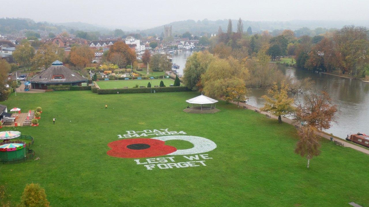 Bird's eye view of the poppy painting
