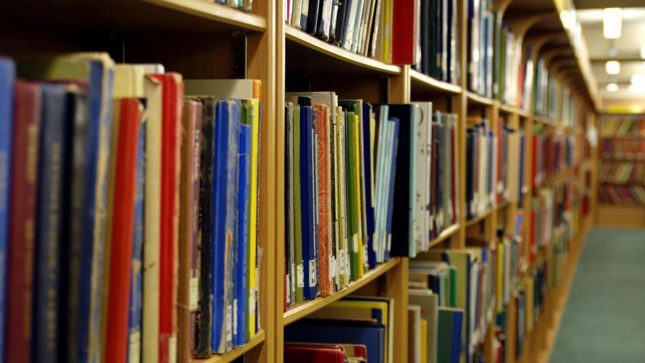 Rows of books of different colours on wooden shelves