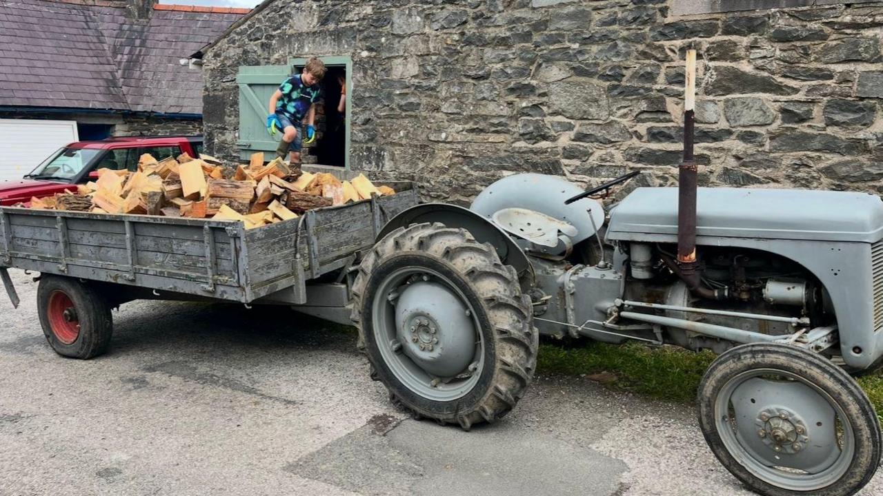 Ffyrgi yn cario coed