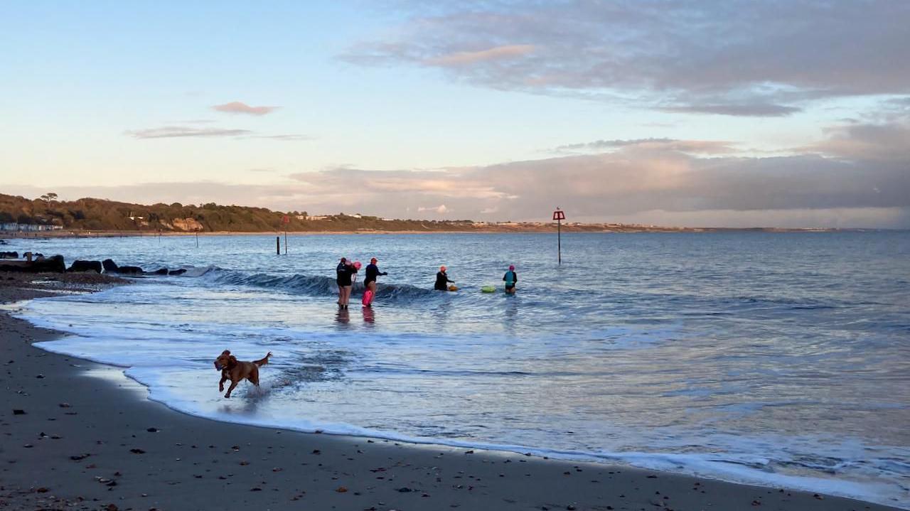 Five people stand in the sea next to a rock groyne. There is a dog running through the surf. There is a green cliff in the background on a sunny morning.