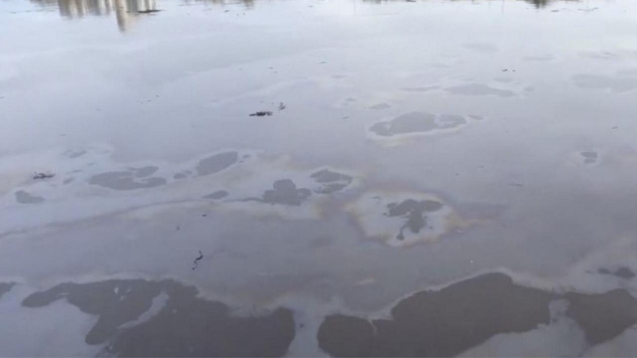 Oil sitting on the surface of the River Tyne