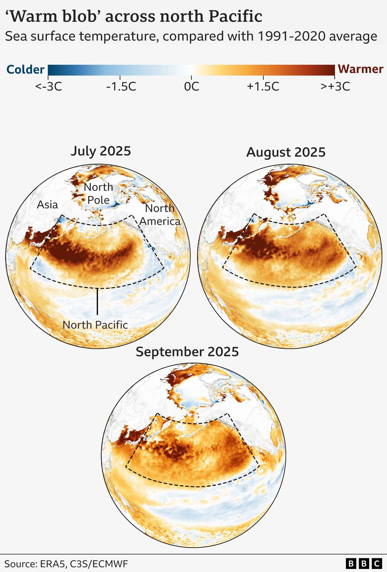 Three maps showing sea surface temperatures in July, August and September in the north Pacific, which is marked by a box. Temperatures are unusually warm across almost the entire region in each month, marked by oranges and dark reds.