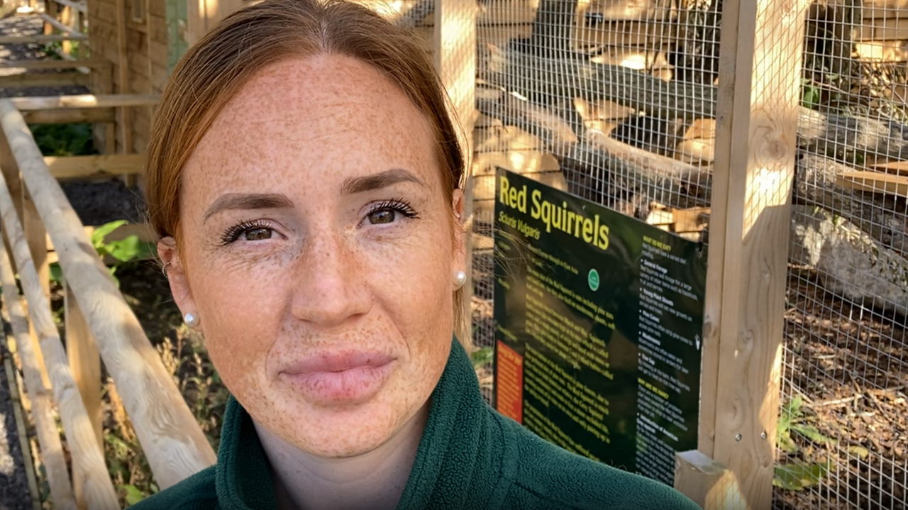 A photo of Emily Quantrill. She is facing the camera and smiling. She is standing in front of the red squirrel enclosure. She has ginger hair which is tied back and she is wearing a green jumper and a set of pearl earrings. 