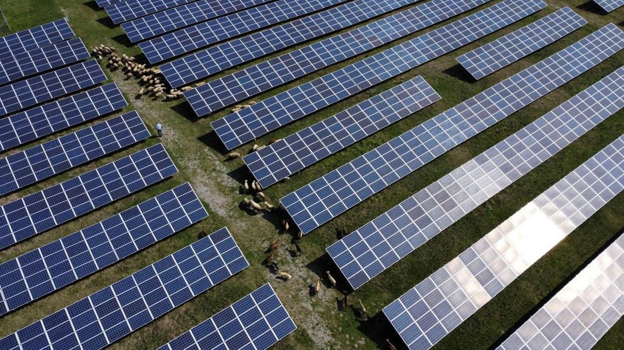 A solar park with sheep grazing between the panels