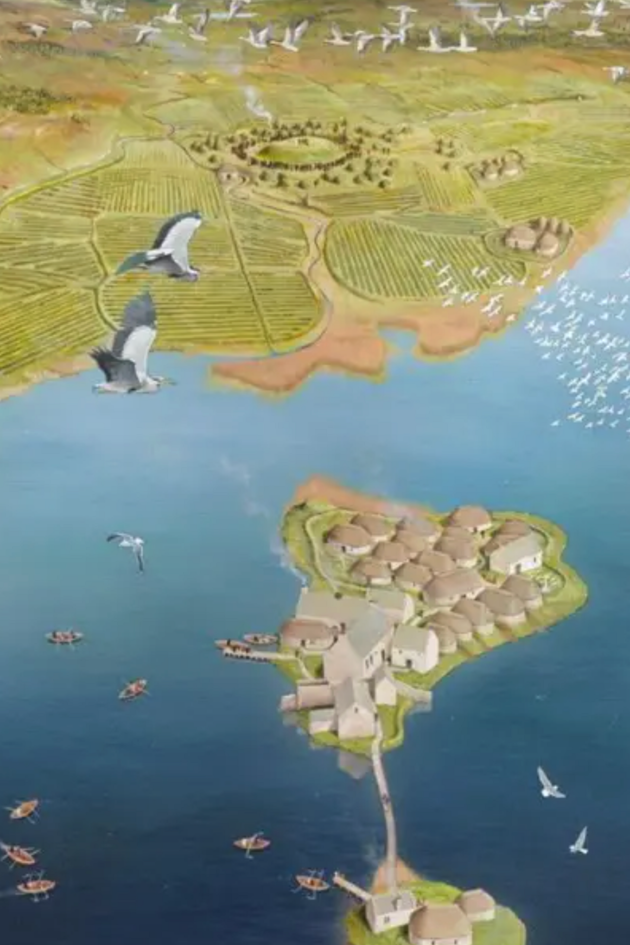 A visualisation providing an aerial view of the small islands at Finlaggan. There are clusters of thatched roof buildings on the islands. There boats on the loch's water and white birds in the sky.