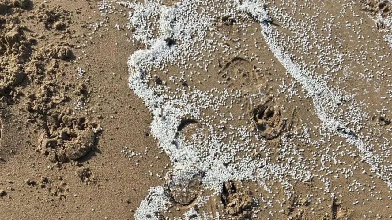 Government criticised over plastic spill response — image supplied by BBC Politics's feed