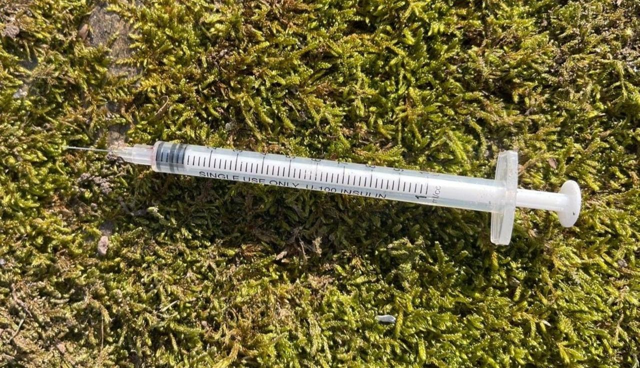 A hypodermic needle sits on moss