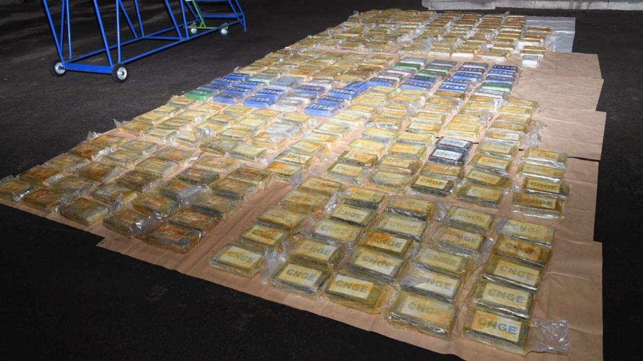 Rows of packages laid out on the floor with rectangular paper in it saying 'CNGE' containing cocaine