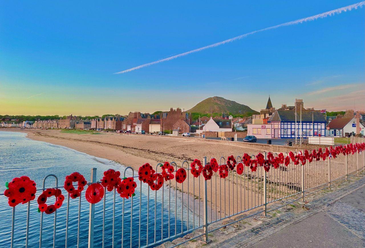 Knitted circles of poppies on a fence in front of a seaside town with the beach in the background