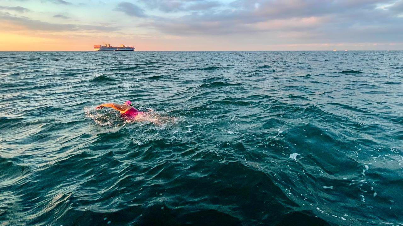 A woman in a pink swimming suit swims in the Englsih Channel, with a cargo ship in the distance.