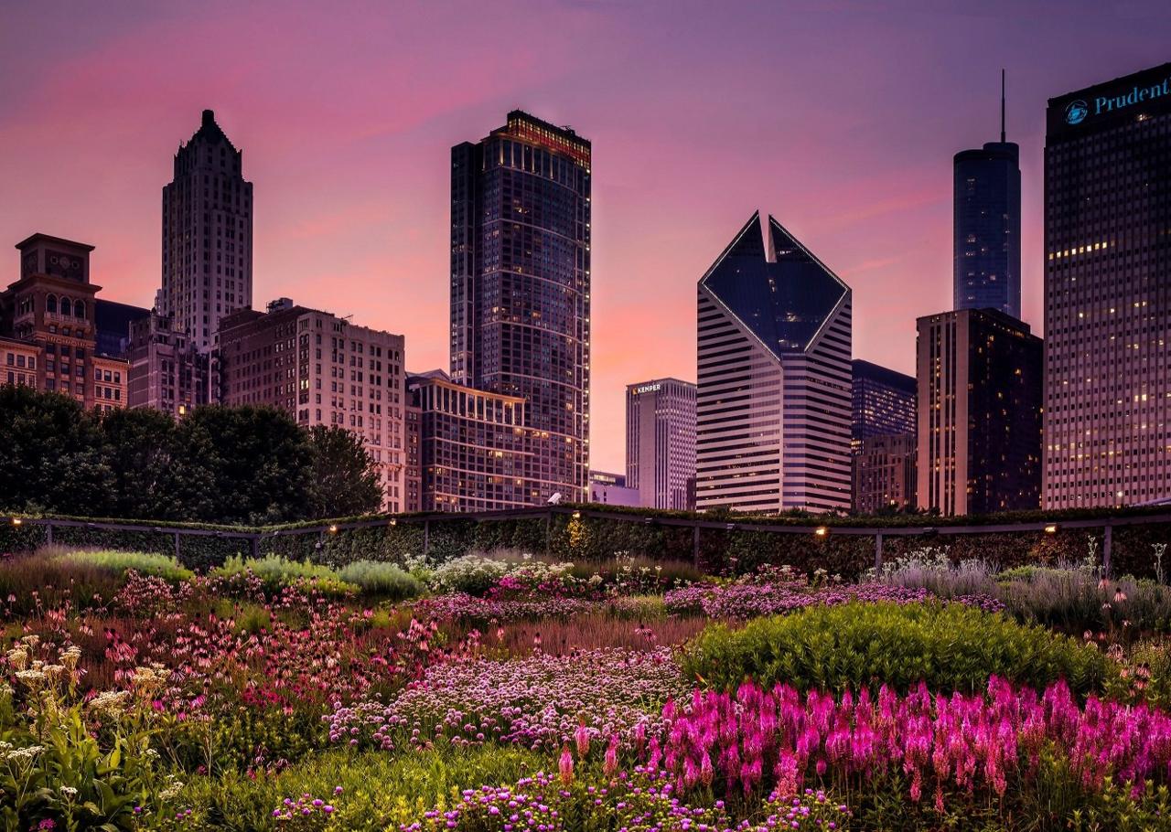 photo-of-chicago-with-flowers.