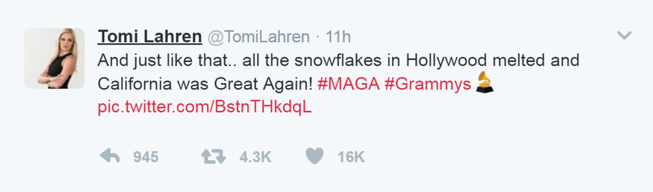 Tomi Lahren tweet on singer Joy Villa's dress at the Grammys