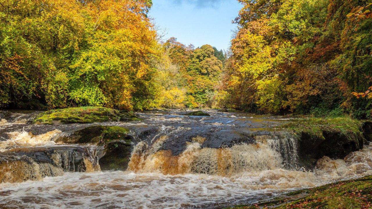 Rushing waters over a low waterfall on a sunny autumnal day with the leaves on the surrounding trees turning golden brown