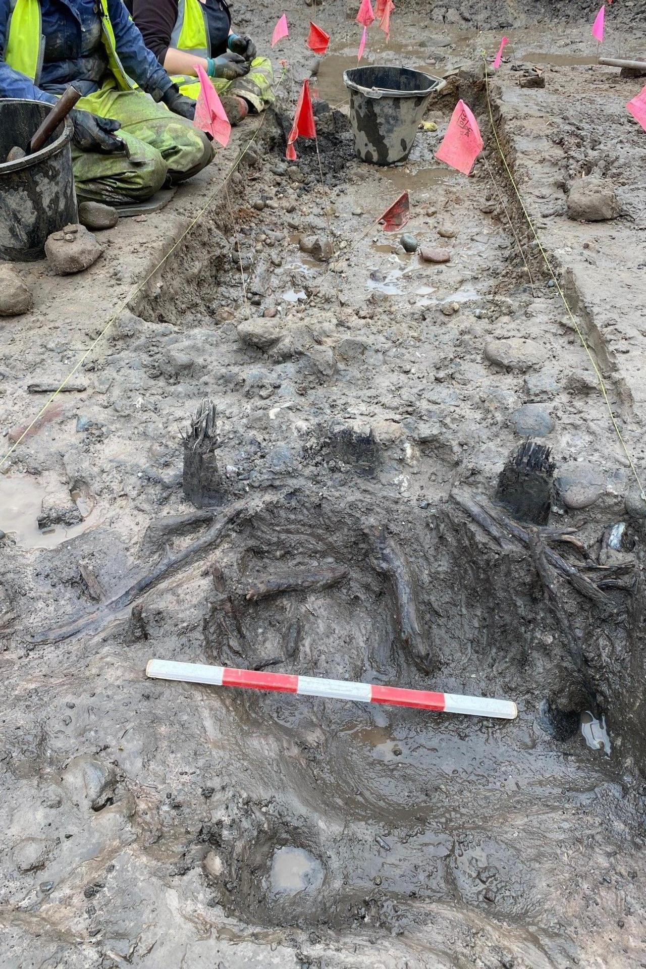 A partially exposed wooden structure embedded in wet, muddy soil. The wood appears dark and waterlogged. The structure looks like the remains of timber posts, possibly part of a larger construction. A red-and-white measuring scale bar is placed across the feature for reference.