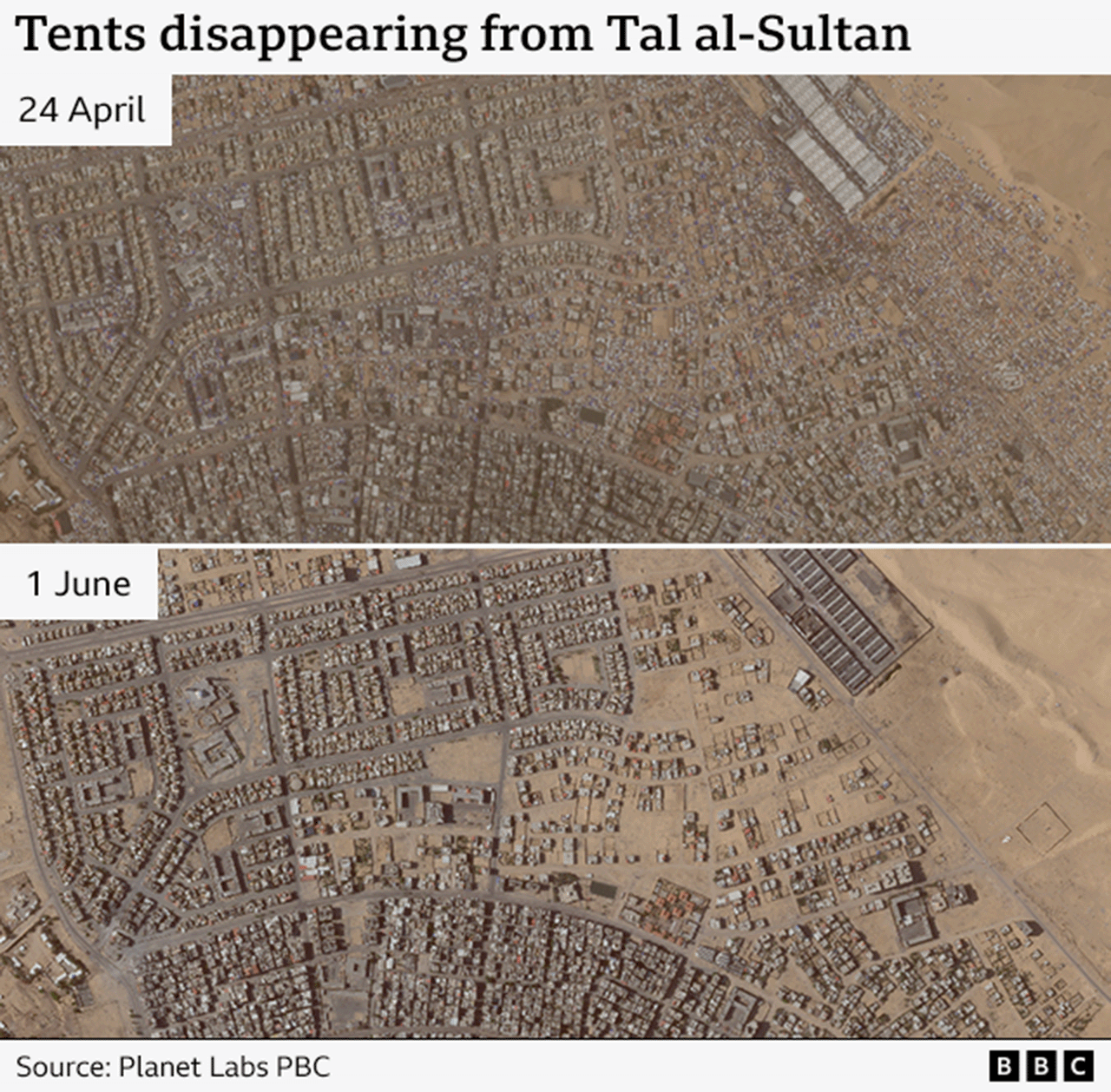 tel sultan before after