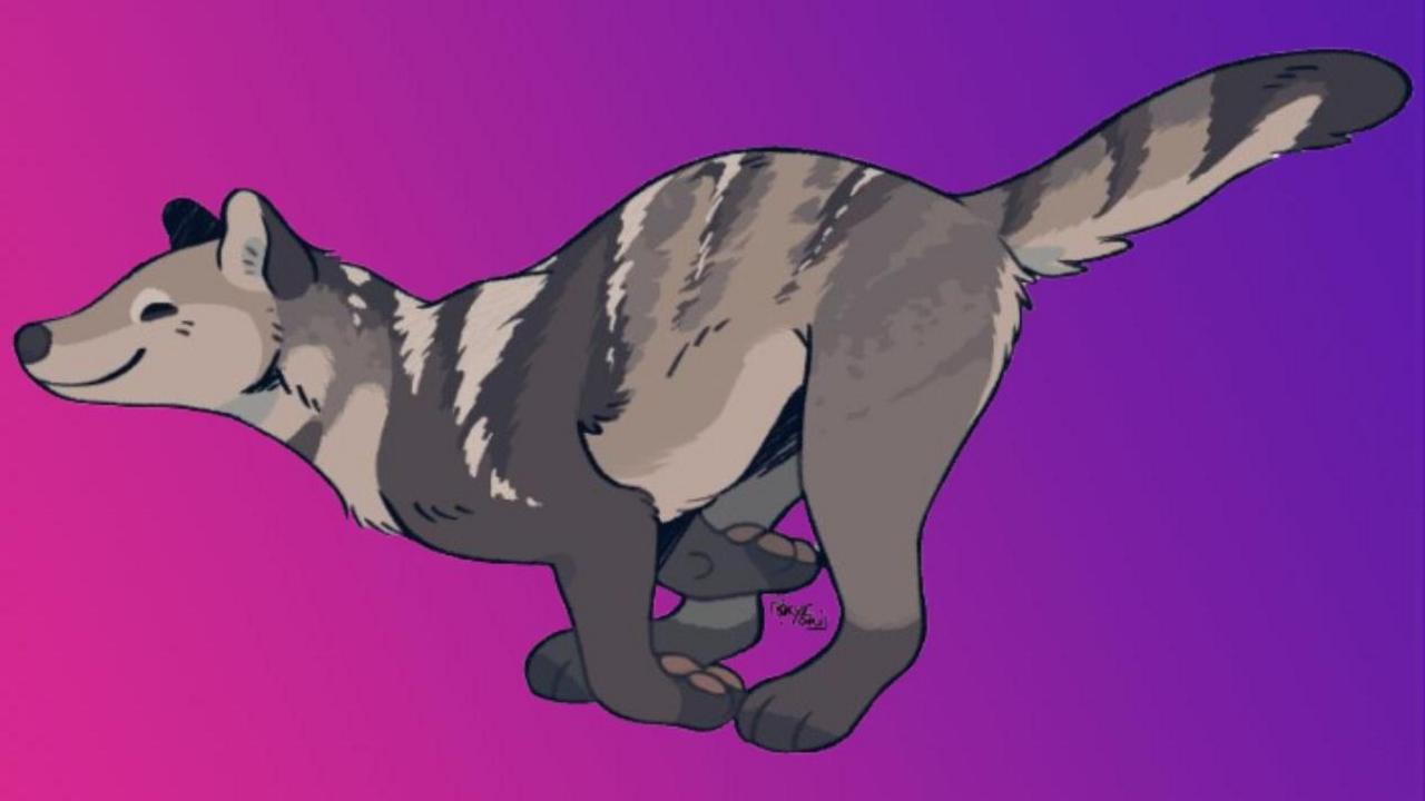 An artistic representation of Mesocyon coryphaeus. 