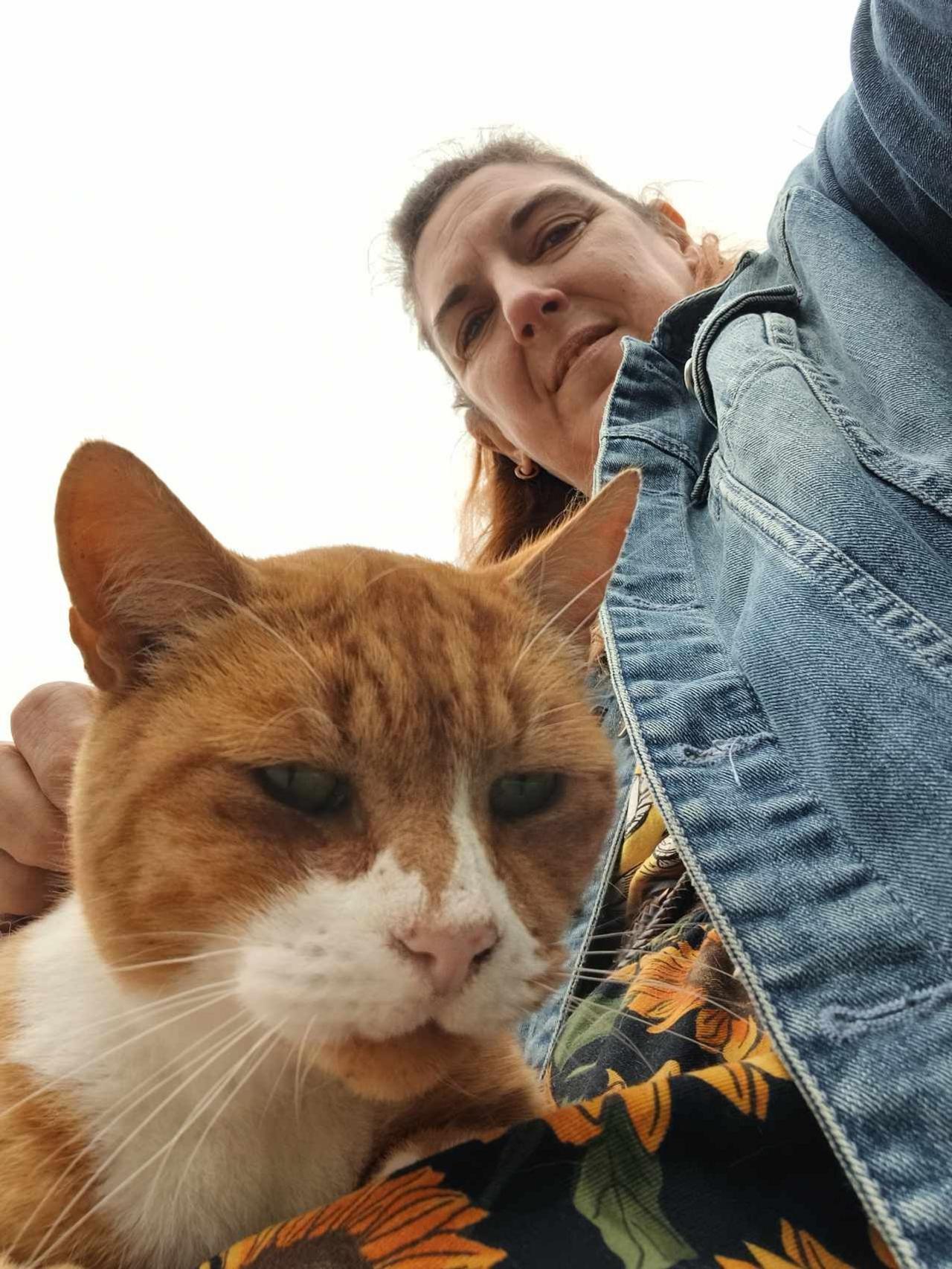 A selfie photo taken by a woman with a white and ginger cat on her lap enjoying a stroke