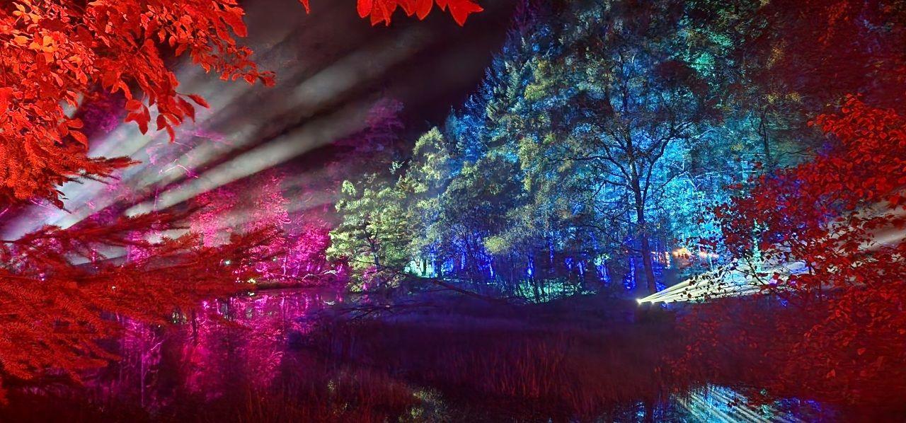 Trees lit up at night with red, blue and pink lights