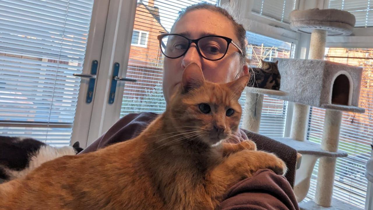 Claire Craig is sitting in a chair with a short-haired ginger cat in her arms. There is a large cat climber behind her and another cat is sitting on that. A garden can be seen in the background behind blinds on the windows and patio doors