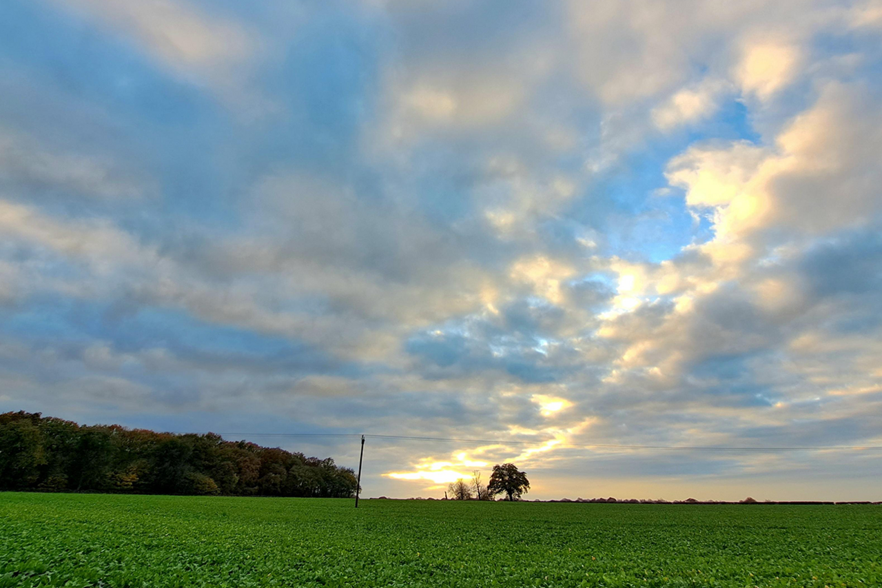 A field near Wolverhampton. Most of the photo shows the sky, with clouds moving across an otherwise blue sky and a green field edged with trees to the left